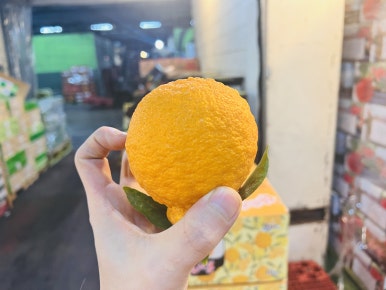 만나유통과일 이미지