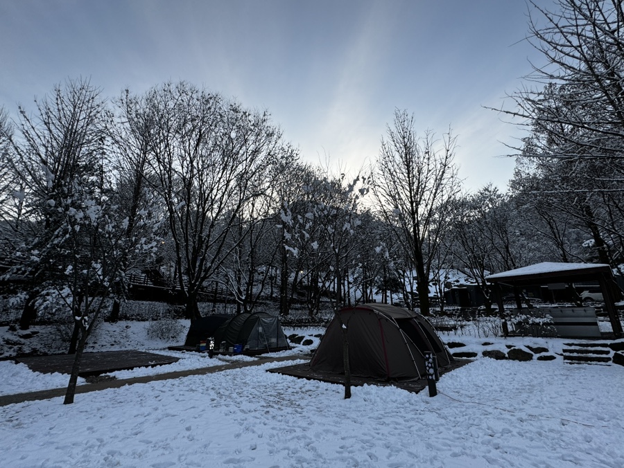 다리안관광지 데크야영장 이미지