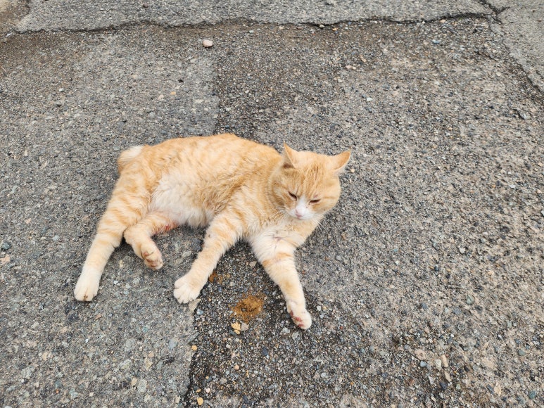 진성민박 이미지
