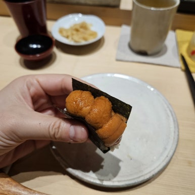 하레마 이미지