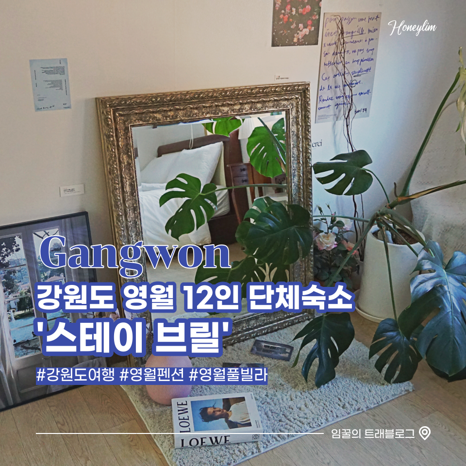 스테이브릴 이미지