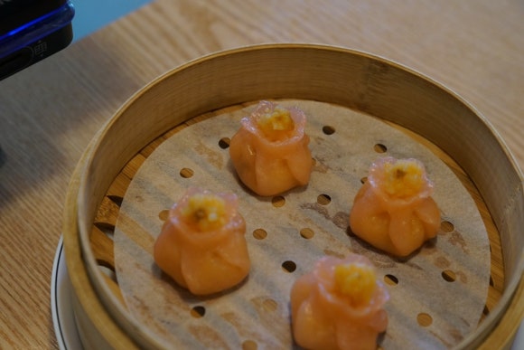 포담 이미지