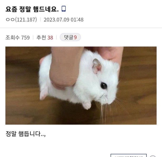 희망법무사사무실 이미지