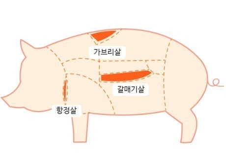 비알비 이미지