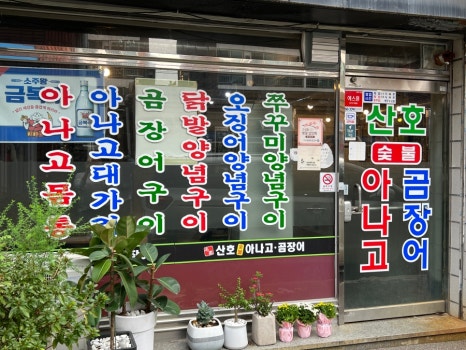 대구아나고곰장어 이미지