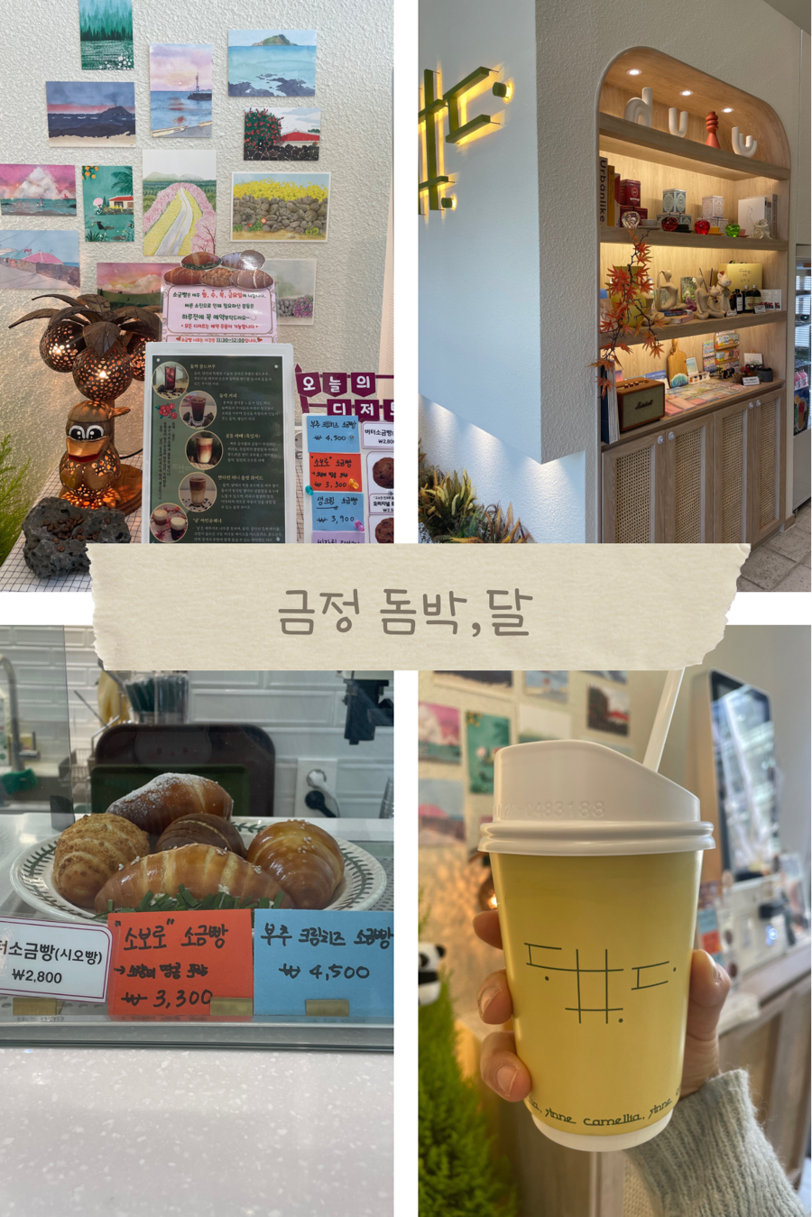 돔박;달 이미지