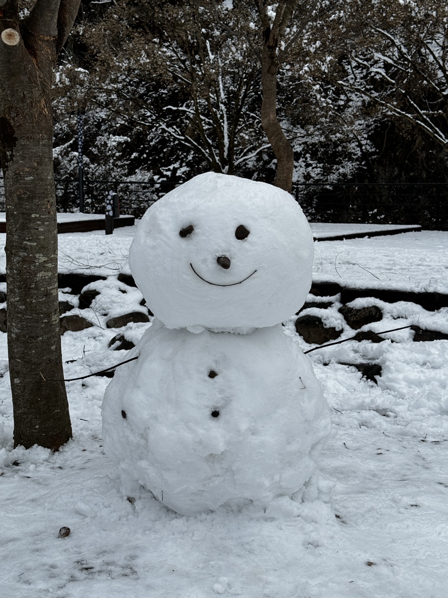 다리안관광지 데크야영장 이미지