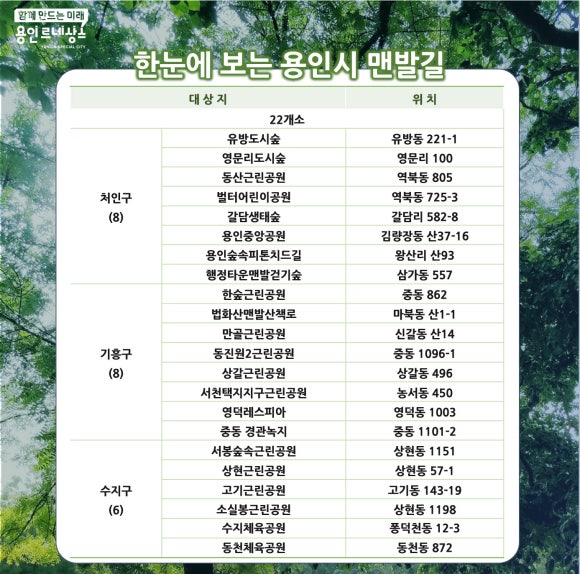 숲길발길 이미지