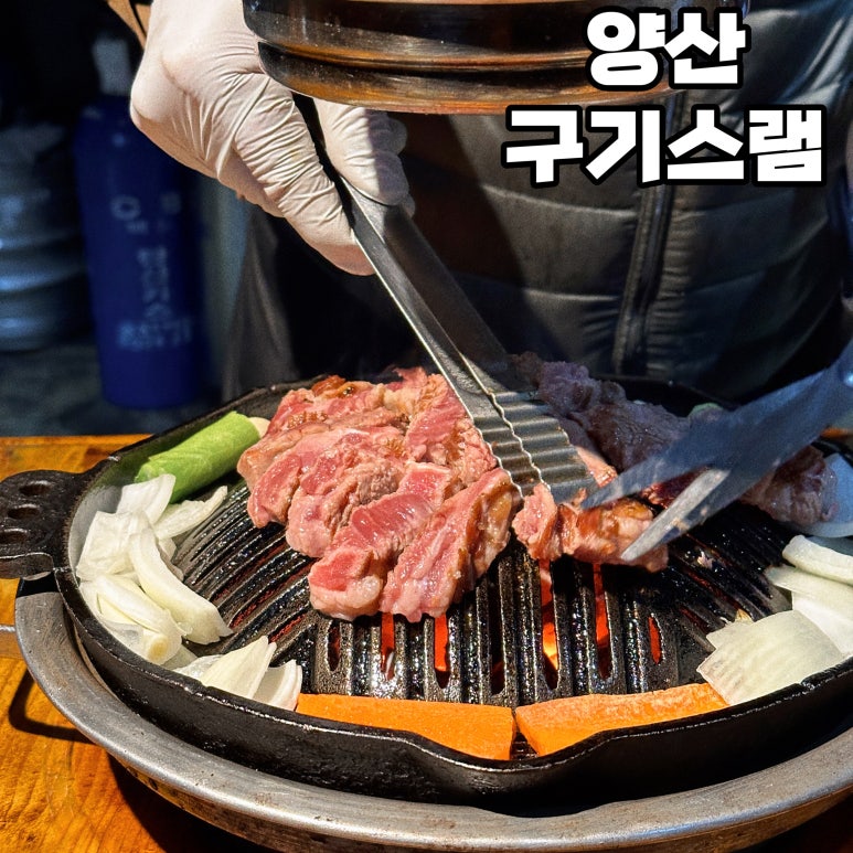 구기스램 이미지