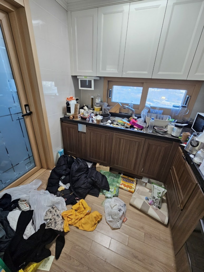 더치움 이미지