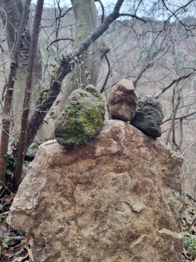 용연골 이미지