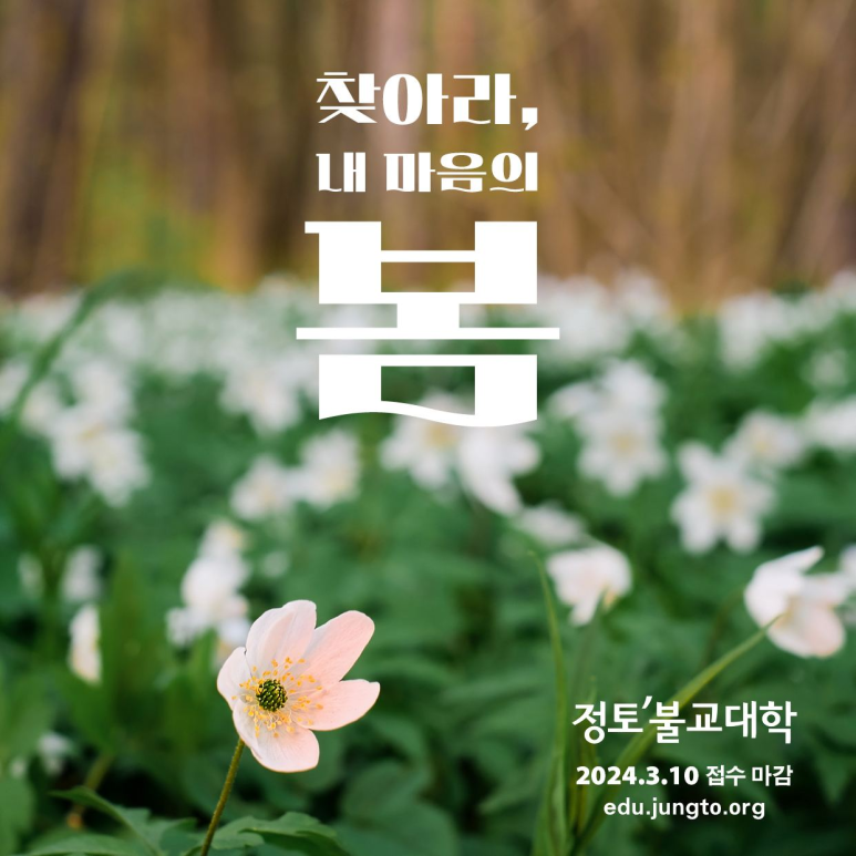 정토환경 이미지