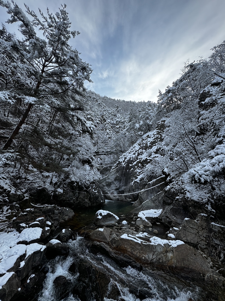 다리안관광지 데크야영장 이미지