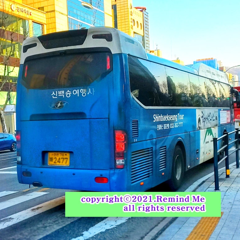 뉴럭셔리여행사 이미지