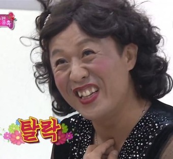 플레드쥬어 이미지