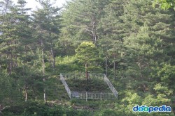 더금송 이미지