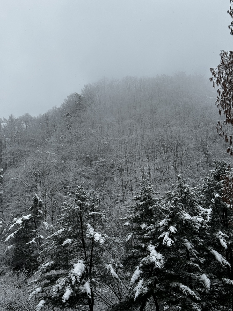 다리안관광지 데크야영장 이미지