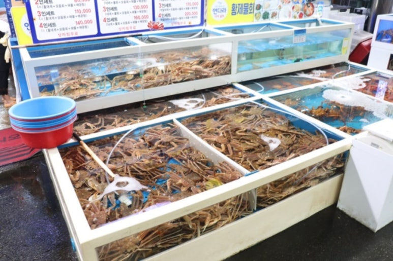 싱싱회식당 이미지