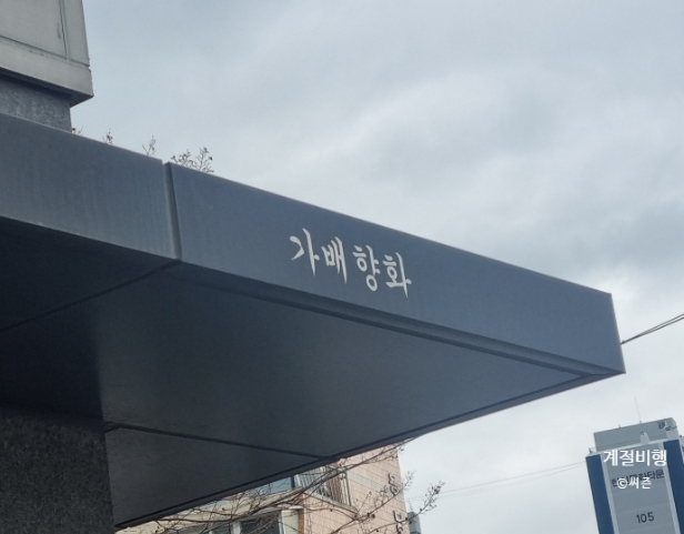 가배목 이미지