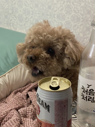 준빠기육회연어 이미지