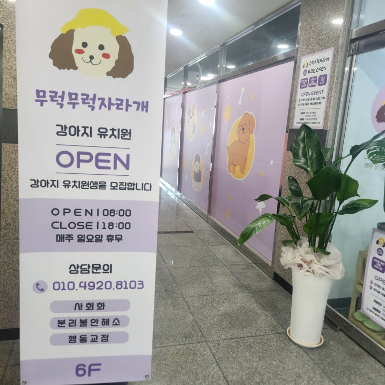 롯데시네마 대구현풍6 이미지