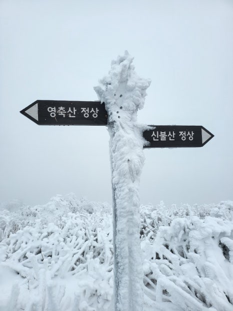 신불산휴게소 이미지
