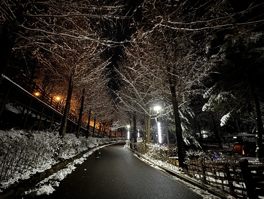 다리안관광지 데크야영장 이미지