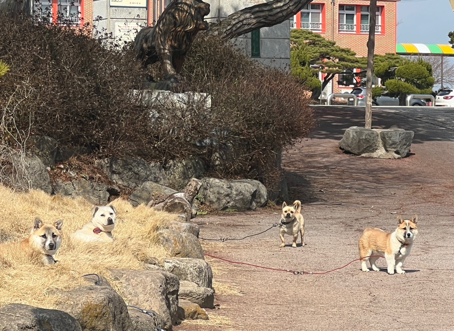 부안꽃게1 이미지