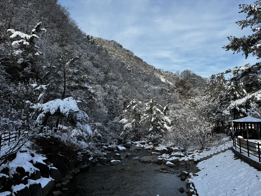 다리안관광지 데크야영장 이미지