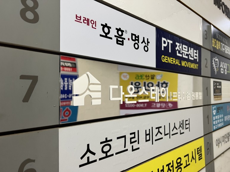 스테이다온 이미지