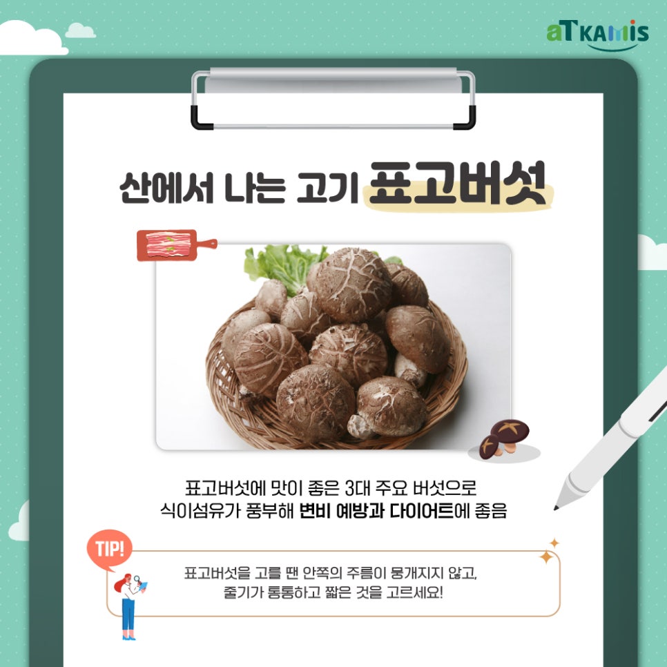 삼삼데이 이미지