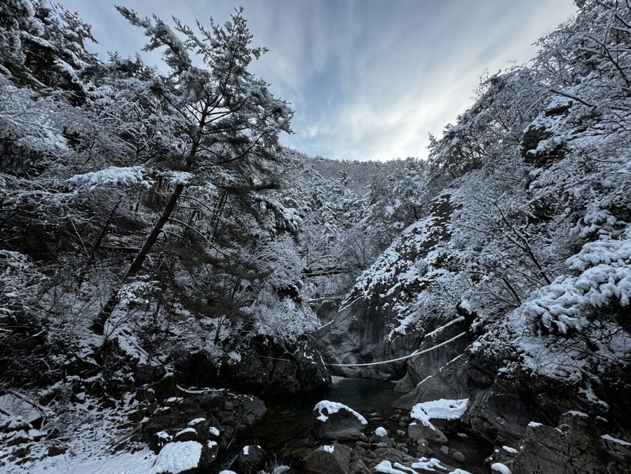 다리안관광지 데크야영장 이미지