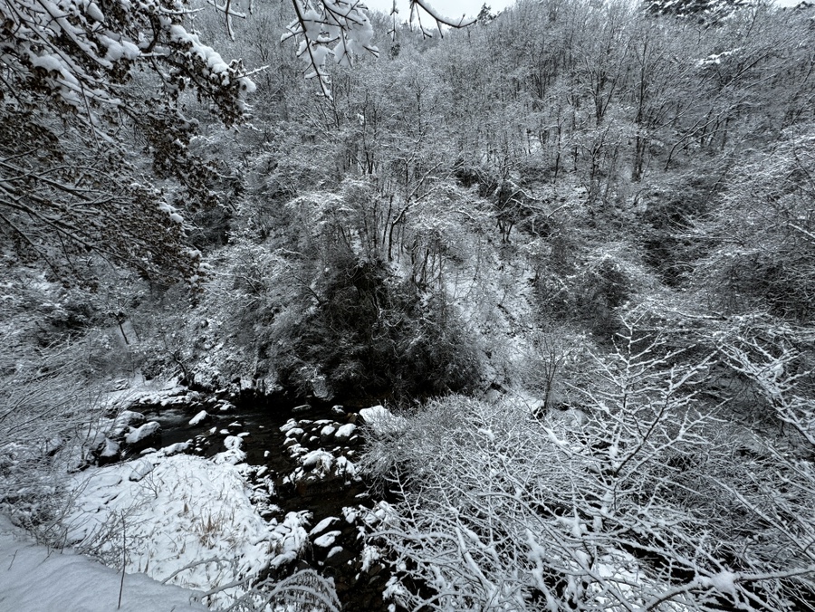 다리안관광지 데크야영장 이미지