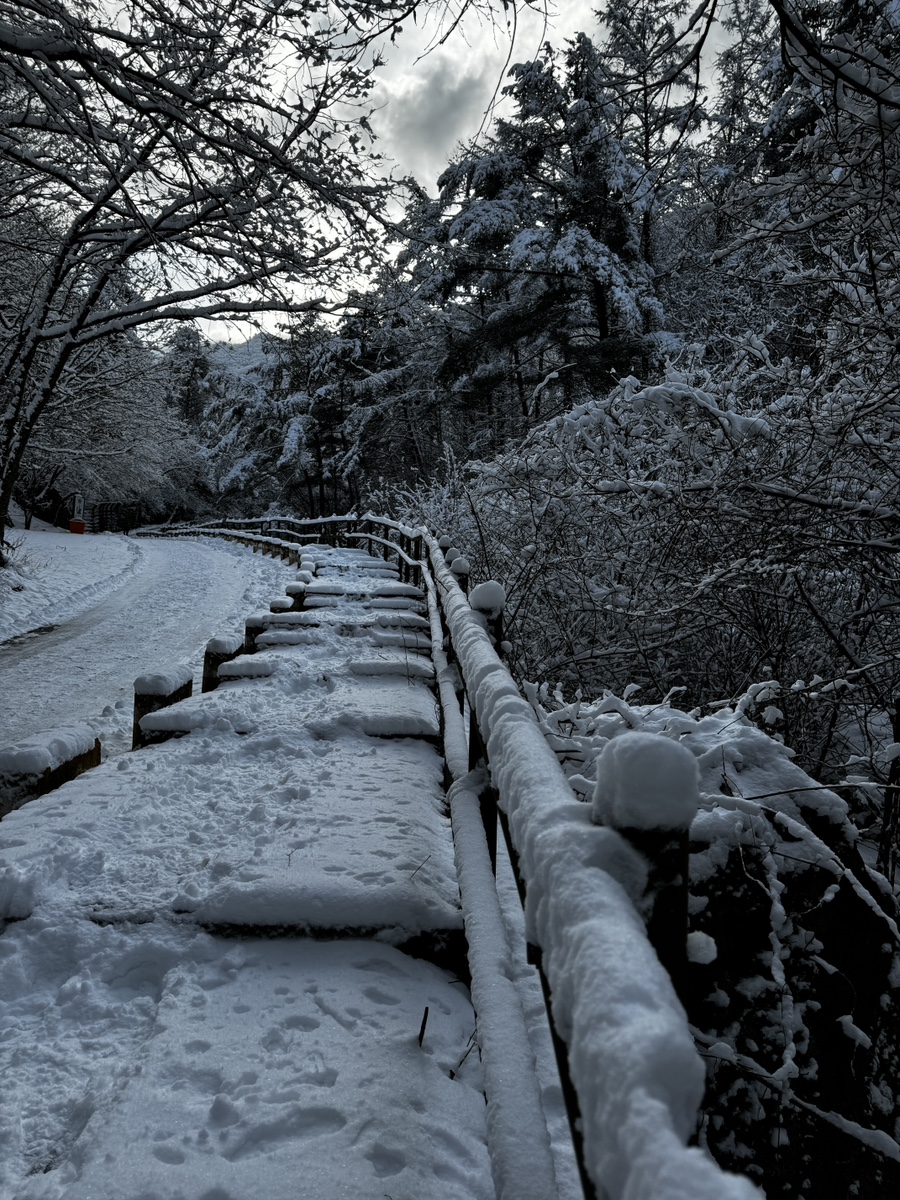 다리안관광지 데크야영장 이미지