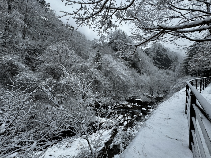 다리안관광지 데크야영장 이미지