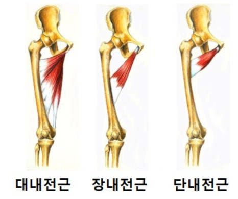 해피짐휘트니스 이미지