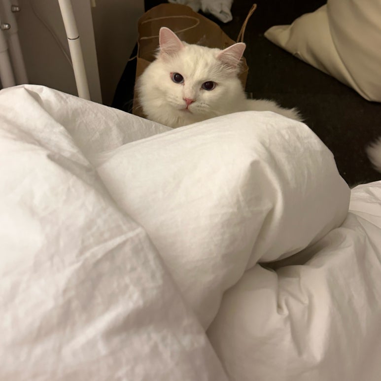 강서방사 이미지