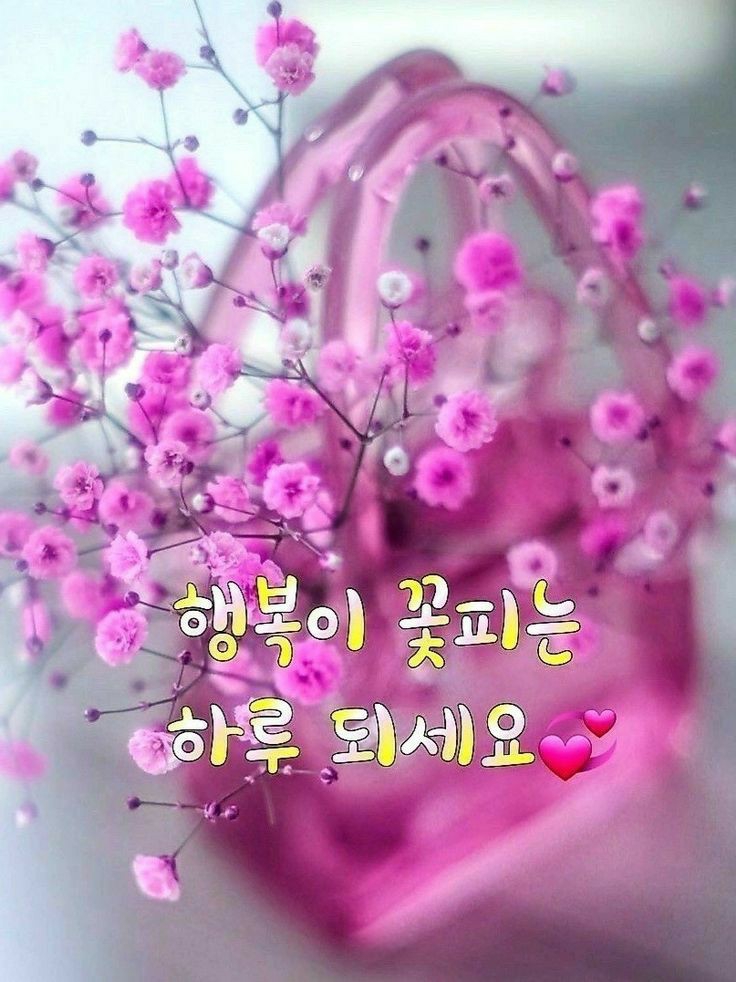 행복법무사 이미지