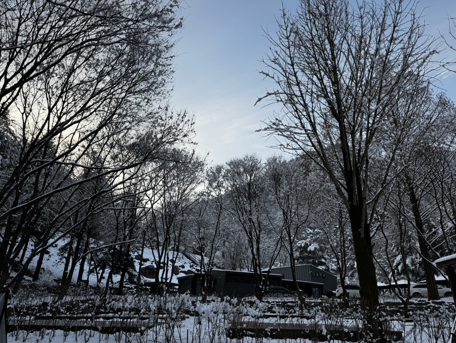 다리안관광지 데크야영장 이미지