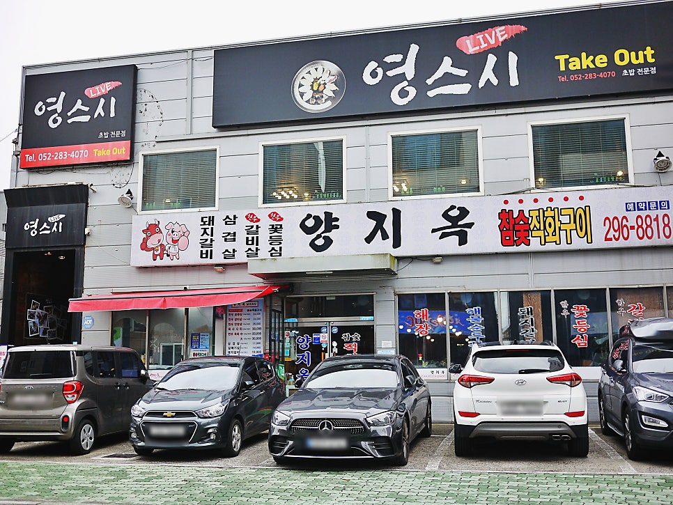 영스시 이미지