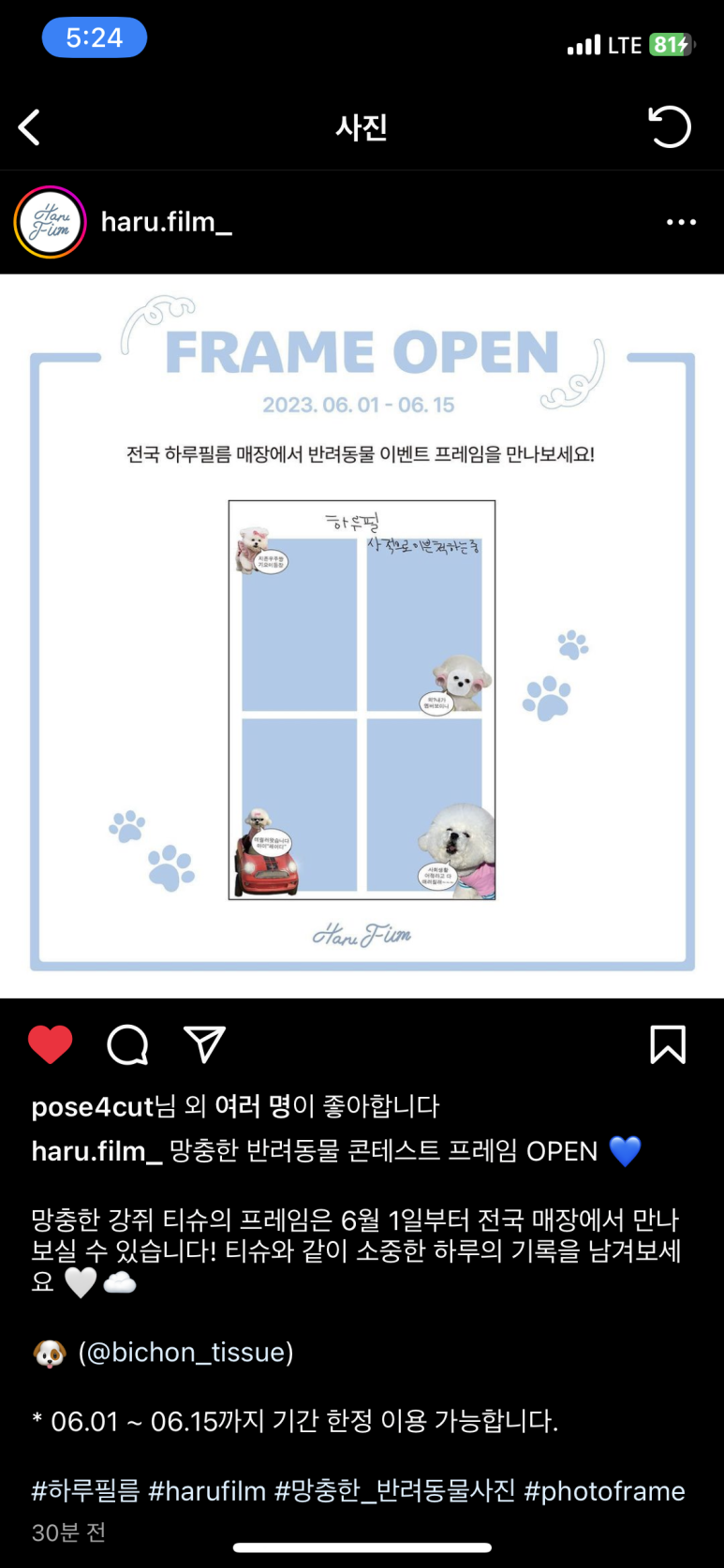하루필름 이미지