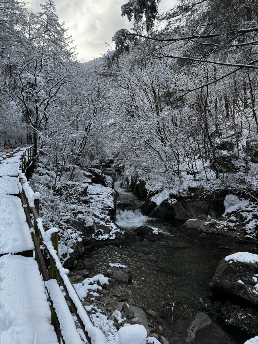 다리안관광지 데크야영장 이미지