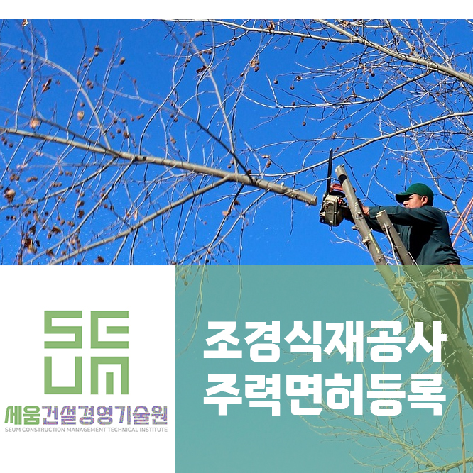세움기술경영 이미지