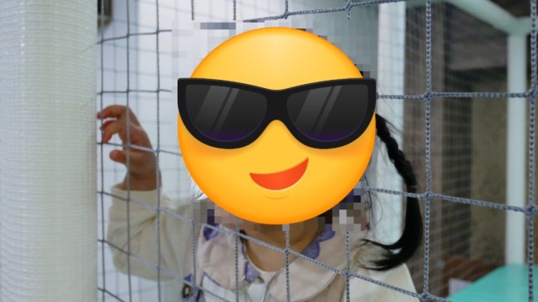 방방나라 이미지