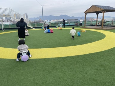 디엔예스 이미지