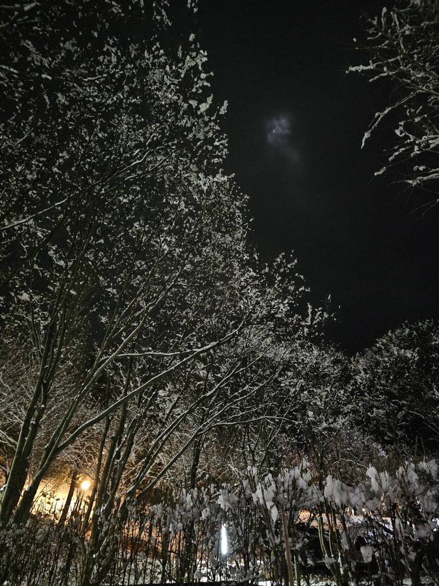 다리안관광지 데크야영장 이미지
