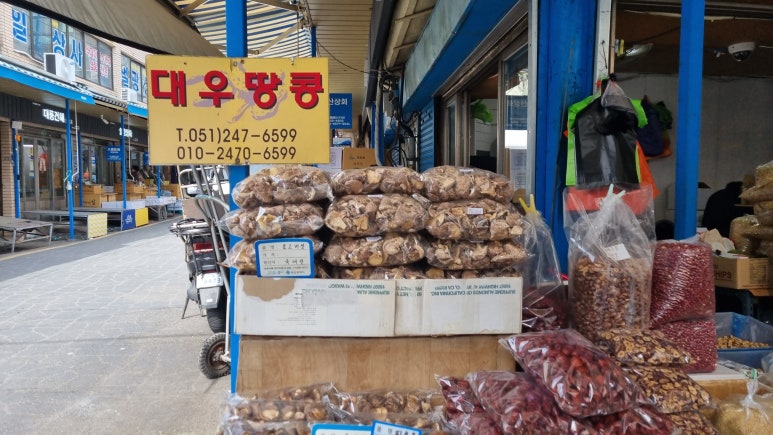 대우땅콩 이미지