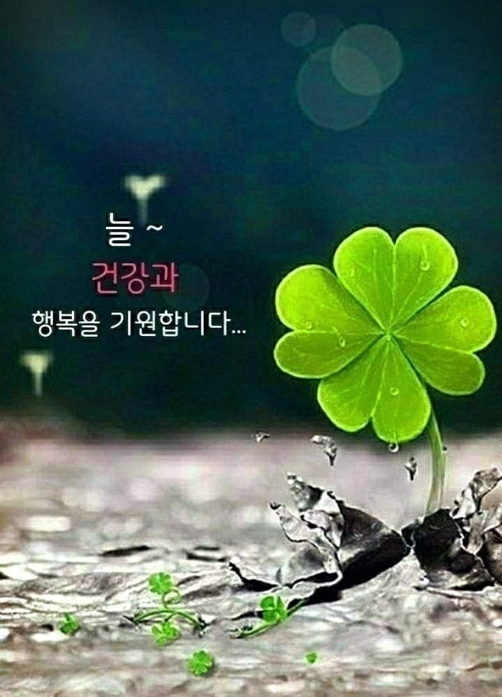 행복법무사 이미지