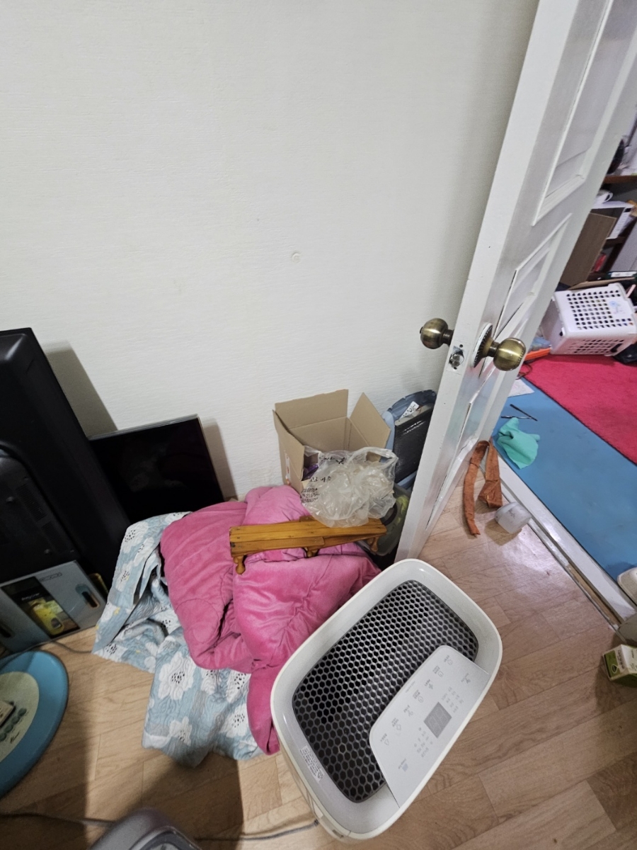 더치움 이미지