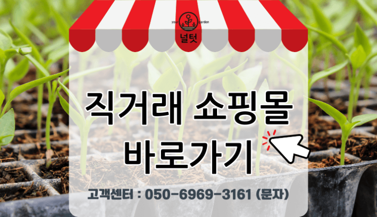 싱싱농가 이미지